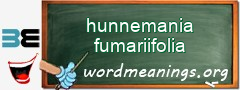 WordMeaning blackboard for hunnemania fumariifolia